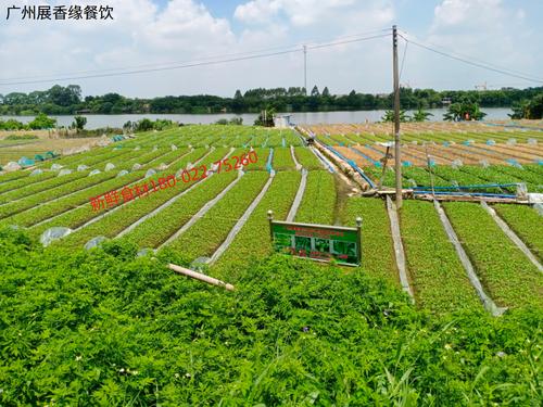 廣州工廠食堂承包方案 助力花都區五金廠精準管控食材采購費用